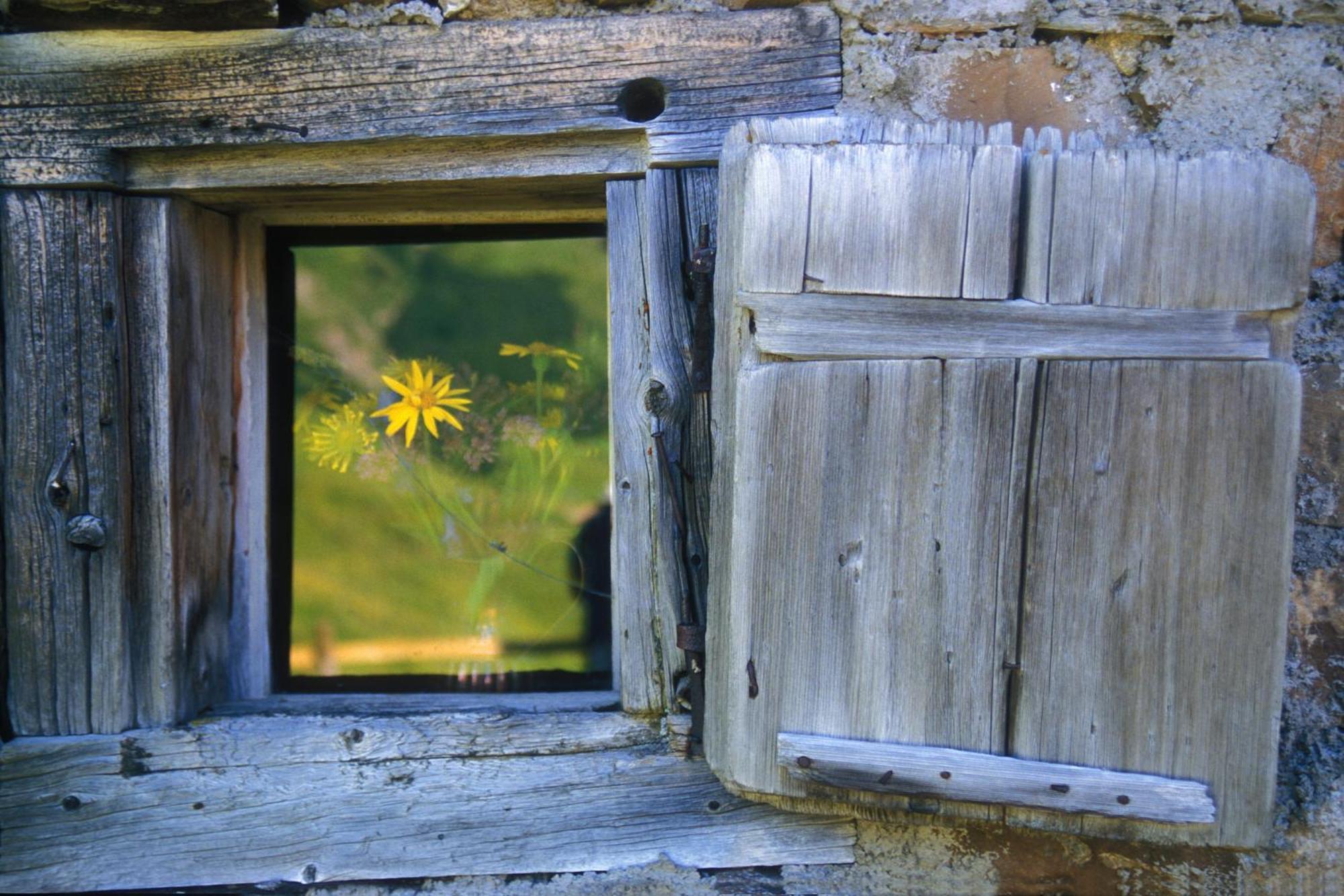 Haus Bergwelt - Appartements Lech am Arlberg Eksteriør bilde